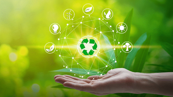 The Rise of Green Energy Stocks